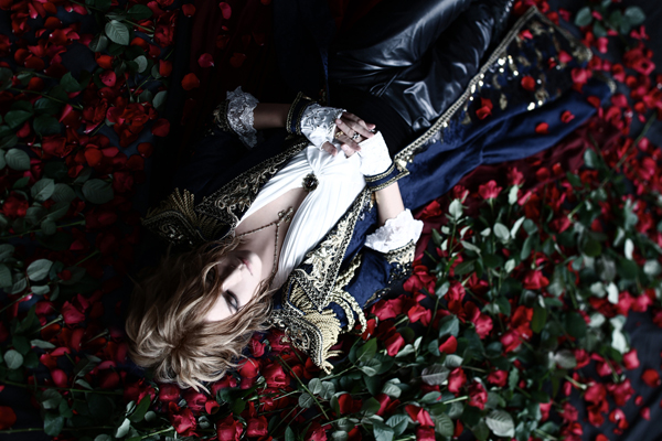 KAMIJO on JUNGLE LIFE